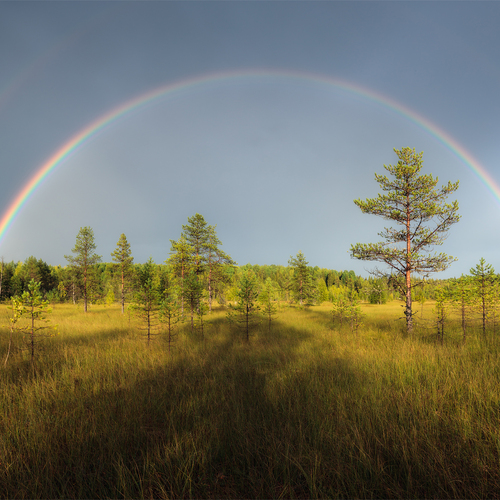 Photo #14078354