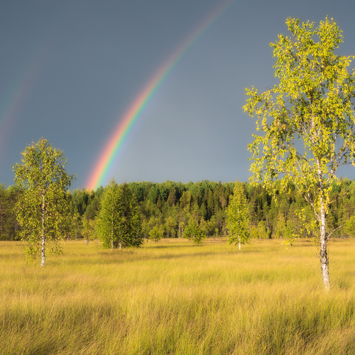 Photo #14078355