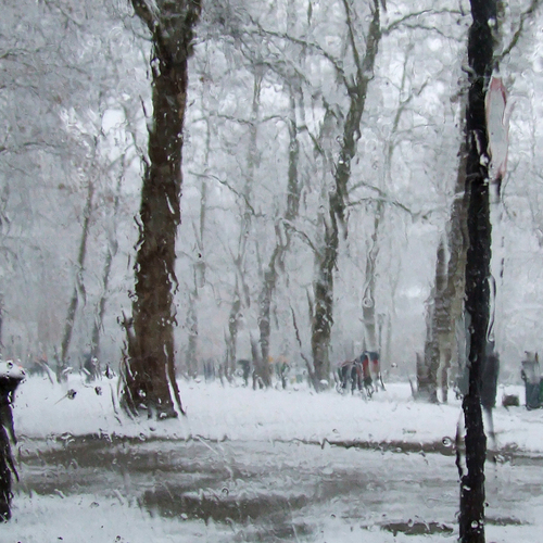 Photo #14078549