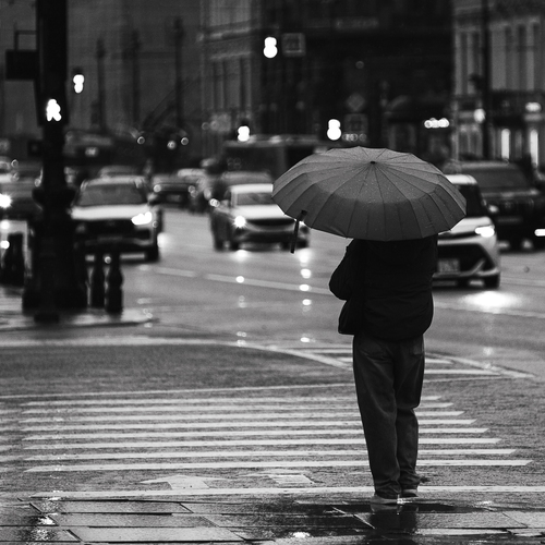 Photo #14078583