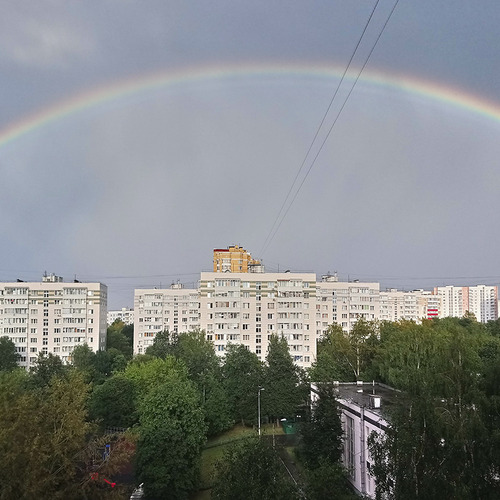 Photo #14078695