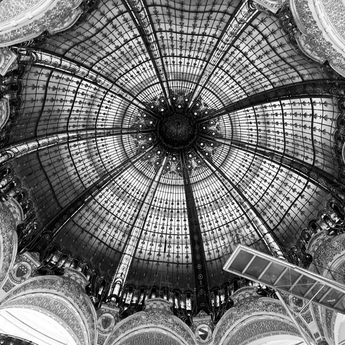 Photo #14078726