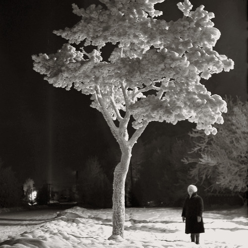 Photo #14078739