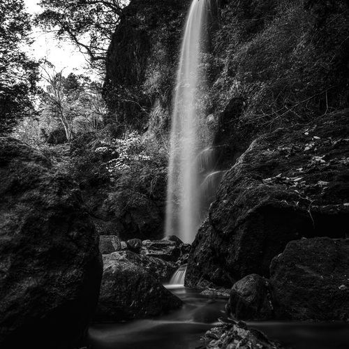 Photo #14078764