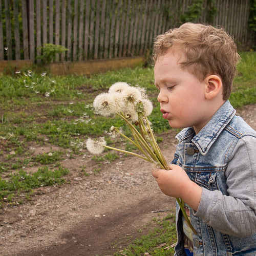 Photo #14078817
