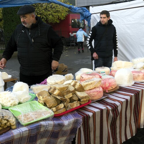 Photo #14078831