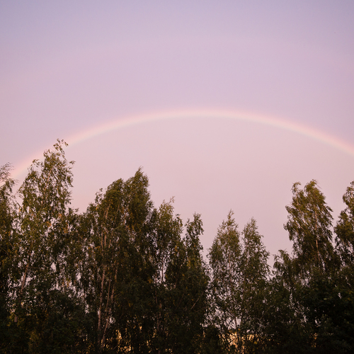 Photo #14078992