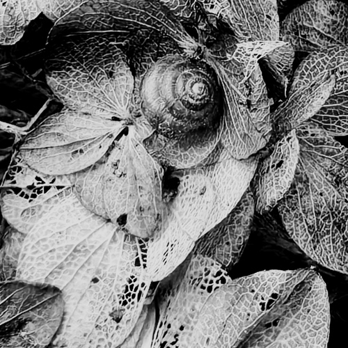 Photo #14079037
