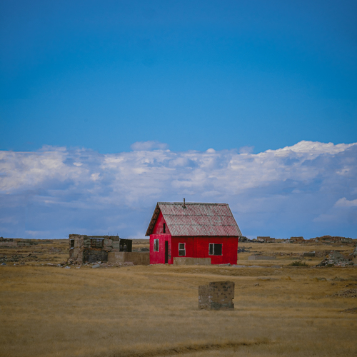 Photo #14079293