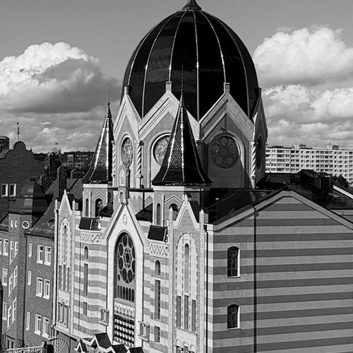 Фотография #14079396