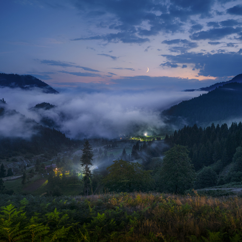 Photo #14079446