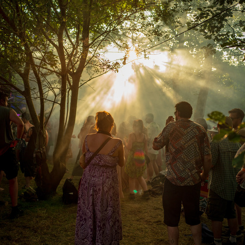 Photo #14079537