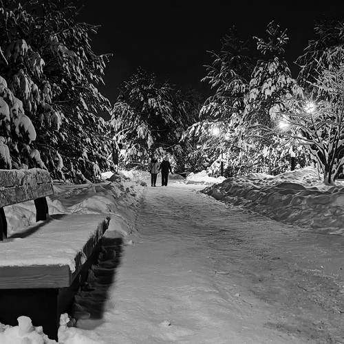 Photo #14079546