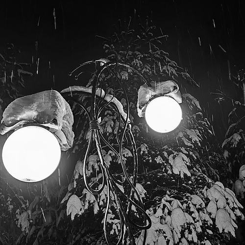 Photo #14079547