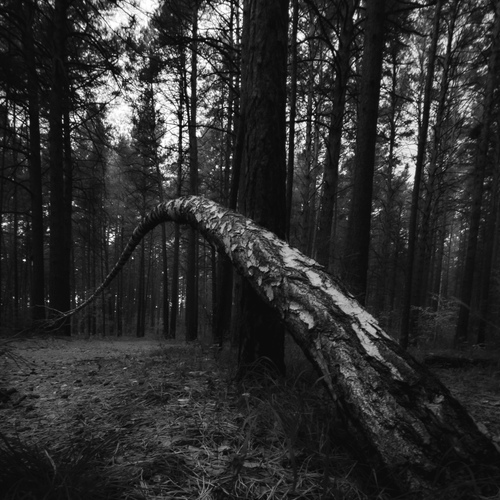 Photo #14079549