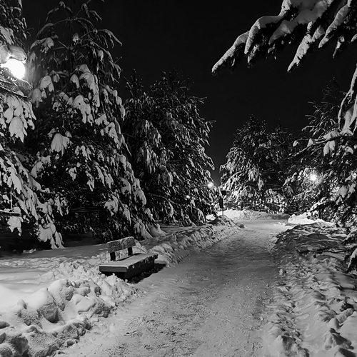 Photo #14079552