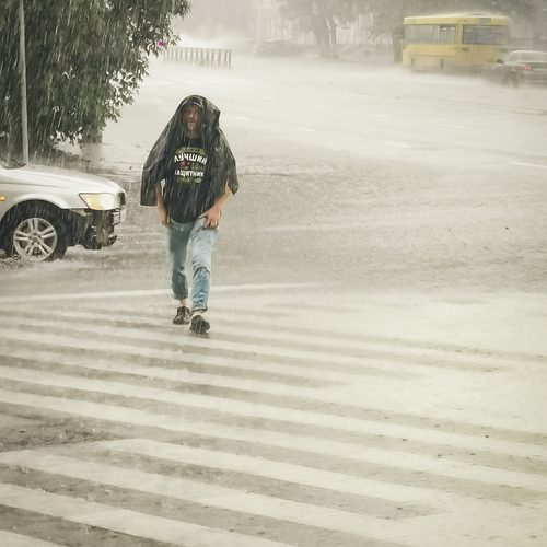 Photo #14079558
