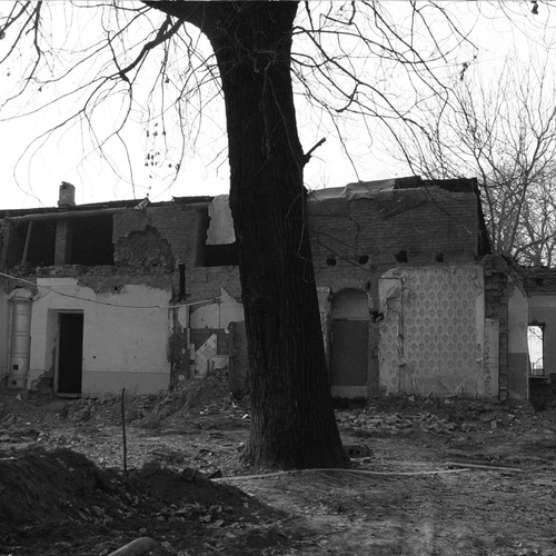 Photo #14079607