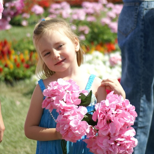 Photo #14079637