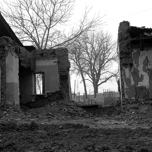 Photo #14079642