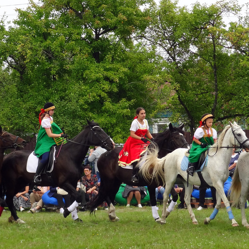 Photo #14079682