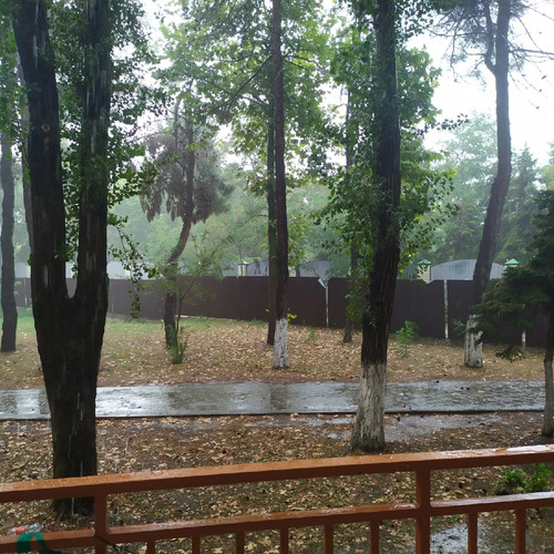 Photo #14080131