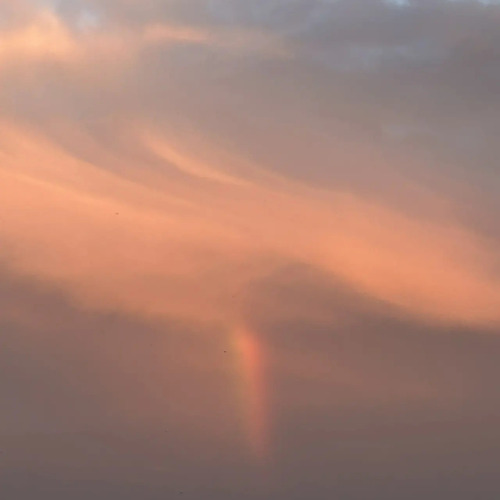 Photo #14080164