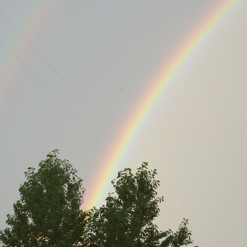 Photo #14080404