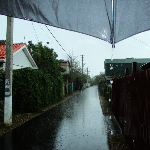 Photo #14080497