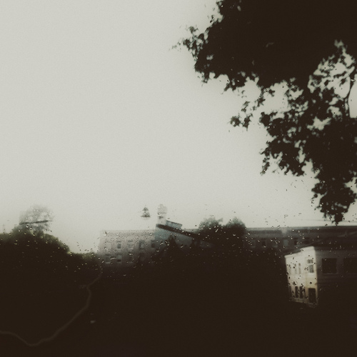 Photo #14080534