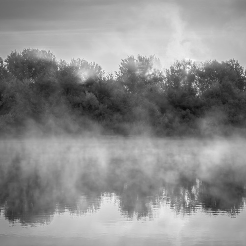 Photo #14080543