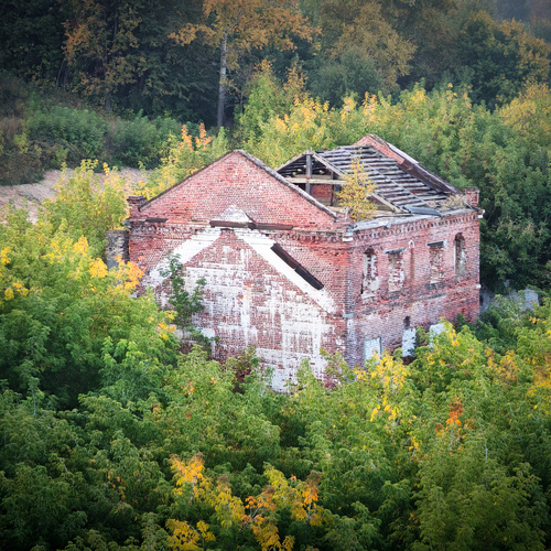 Photo #14080568