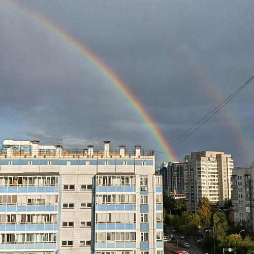 Photo #14080584