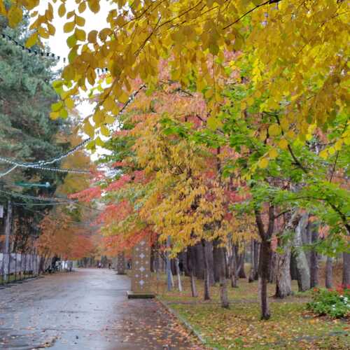 Photo #14080705
