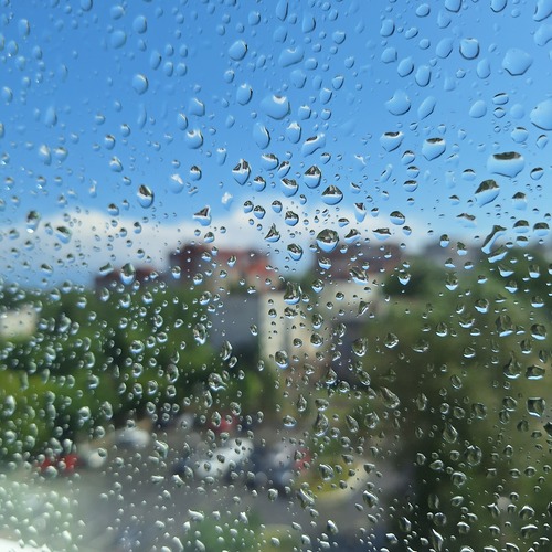 Photo #14080715