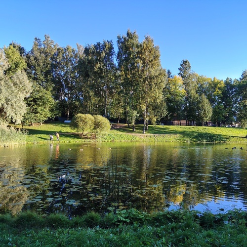 Photo #14080817