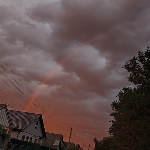 Photo #14080858