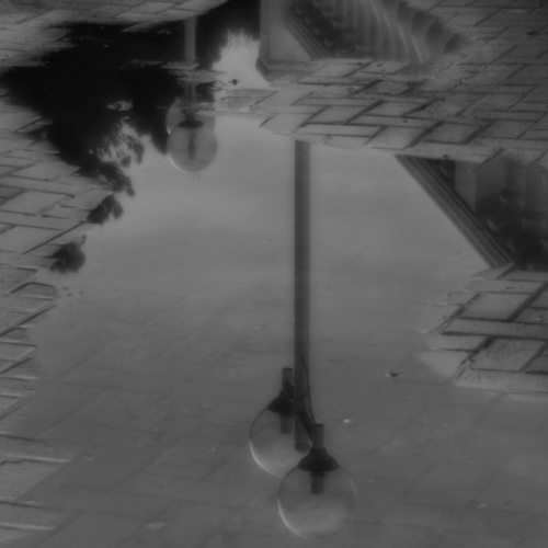 Photo #14080883