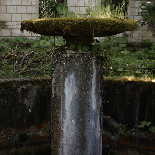 Photo #14081075