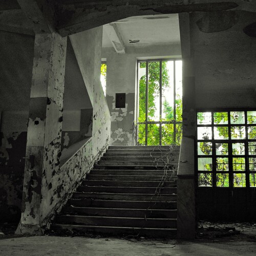 Abandoned Stairs