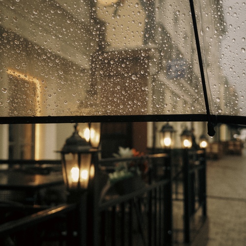 Photo #14081141