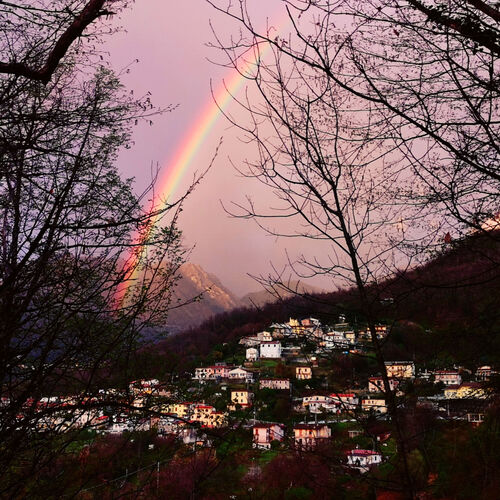 Pariana