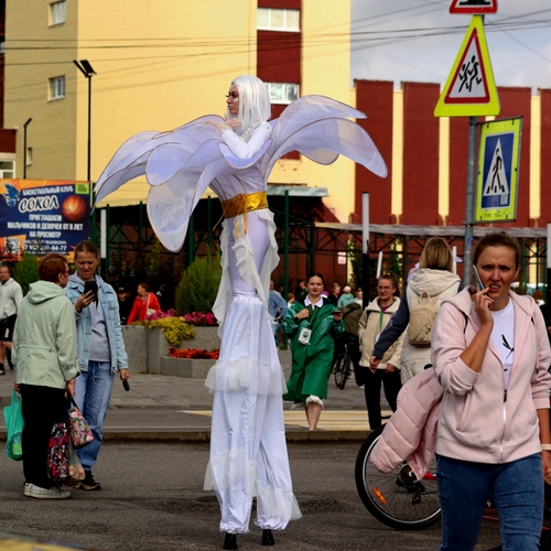 Photo #14081192