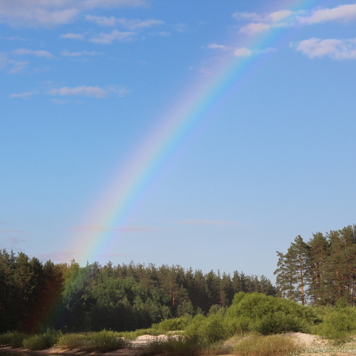 Photo #14081285