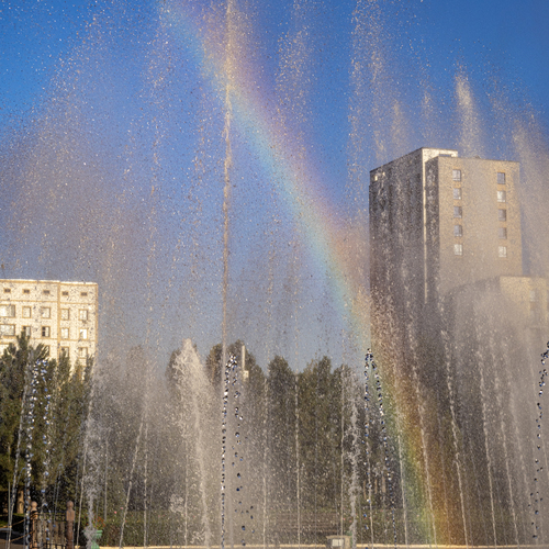 Photo #14081323