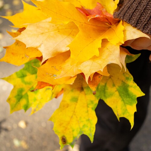 Photo #14081389