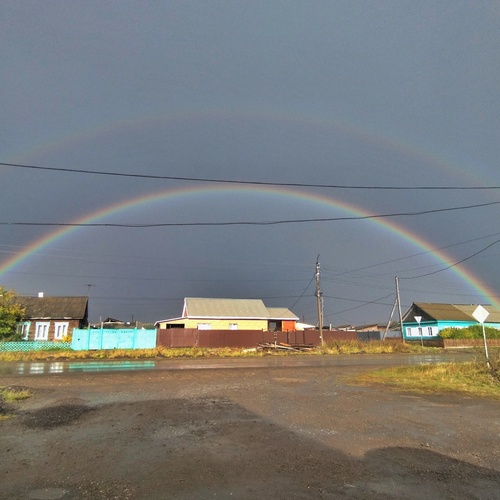 Photo #14081403