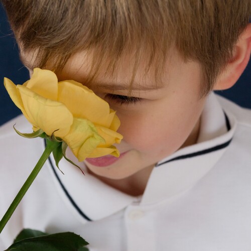 Photo #14081459