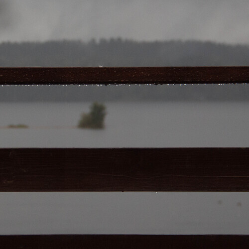 Photo #14081496