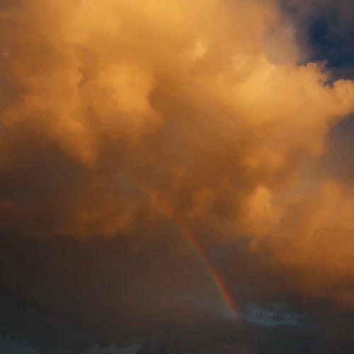 Photo #14081526